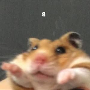 Meet your Posher, Sabrina